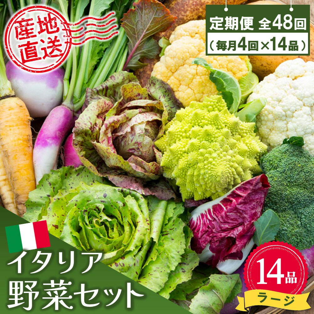 【ふるさと納税】年間定期便48回 イタリア野菜セットラージ 14品 【有機野菜 おまかせ野菜セット イタリア野菜 西洋野菜 定期便】(H078136)
