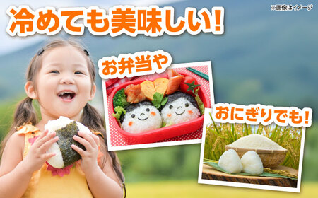 【全3回定期便】【新米】吉田げんき米コシヒカリ 5kg 島根県雲南市/有限会社藤本米穀店 ｜こしひかり 白米 精米 コメ 5キロ[AIDB120]