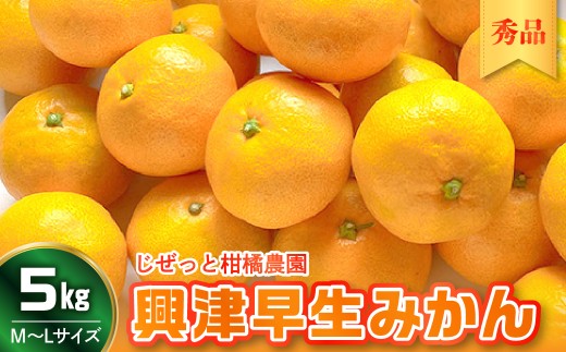 【先行受付】【2026年11月上旬～発送】 甘さと酸味が丁度いい！ 濃厚興津 早生みかん 5kg 秀品 (M〜L：約40個) 広島県呉市 呉市産 広島県産 産地直送 ku212-005-26
