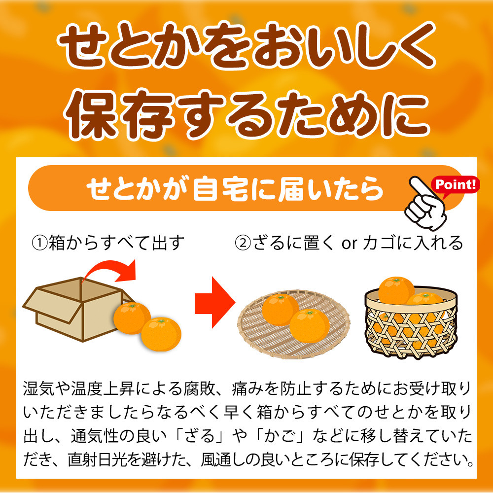 とろける食感！ジューシー柑橘　せとか　約3kg サイズお任せ 【予約】※2027年2月下旬頃?3月中旬頃発送(お届け日指定不可)【uot506A】
