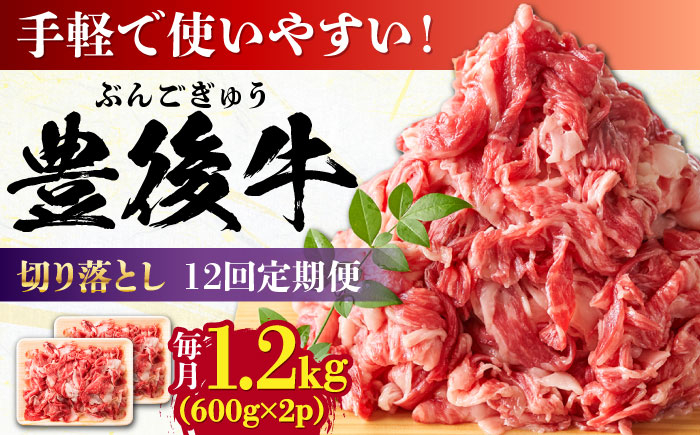 
            【全12回定期便】【大容量パック！】 おおいた豊後牛 牛肉 切り落とし 1.2kg (600g×2) 日田市 / 株式会社MEAT PLUS 牛肉 おおいた豊後牛 おおいた 豊後牛 黒毛和牛 赤身 薄切り 切り落とし 和牛 [AREI049]
          