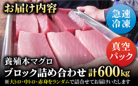本マグロブロック詰合せ600g（養殖）五島市/奥浦海鮮直売所[PCL012]  柵 刺身 マグロ まぐろ 鮪 さしみ とろ トロ 刺し身 冷凍 魚 鮮魚 刺身柵
