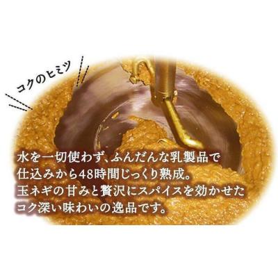 ふるさと納税 横浜市 サンアロハ「ハマカレー　ビーフ　230g×4個パック」 |  | 02