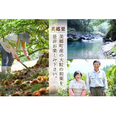 ふるさと納税 美郷町 栗の渋皮煮 200g×6袋セット |  | 02