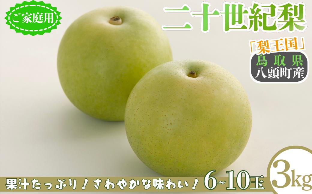 
            二十世紀梨(家庭用) 3kg「Y's Farm Tottori」【梨 なし ナシ 果物 フルーツ ギフト 先行予約 甘い 果実 果汁 デザート もぎたて 旬】
          