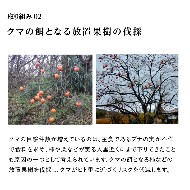 《クマといい距離プロジェクト》共生活動企画 ひとめぼれ 10kg(5kg×2袋)精米 白米