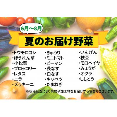 ふるさと納税 七宗町 七宗町から発送　新鮮野菜詰めあわせセット(季節の野菜7〜8種類) |  | 01
