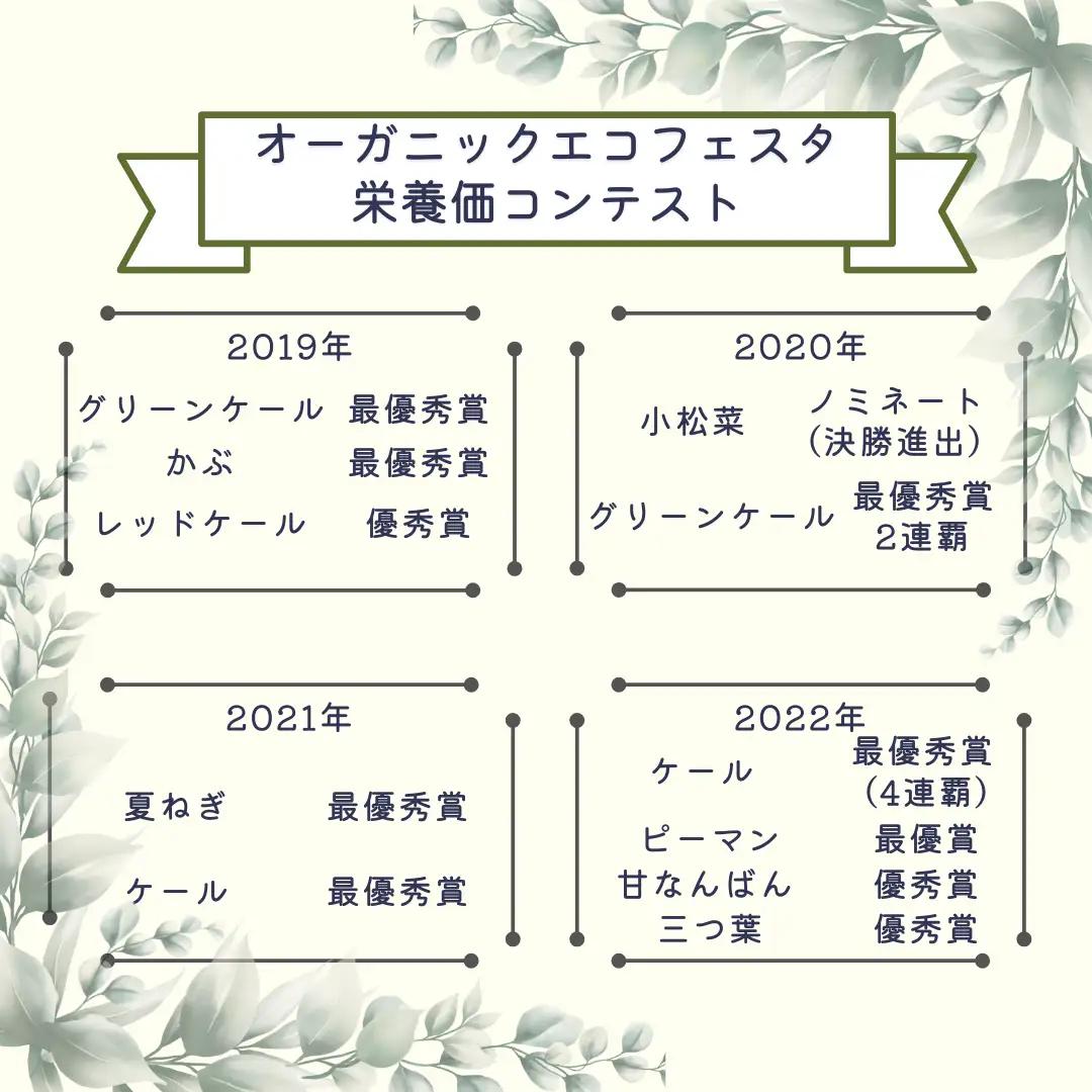 有機野菜ちいさな畑セット（Lサイズ　３～４人前）有機野菜［NK-102］