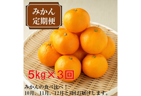 【8006-1】厳選みかん定期便5kg　3回（10月、11月、12月）《先行予約》固定月にお届け予定