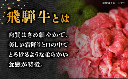 【3回定期便】【飛騨牛】A5等級切り落とし 500g [TAZ012]飛騨牛 切り落とし