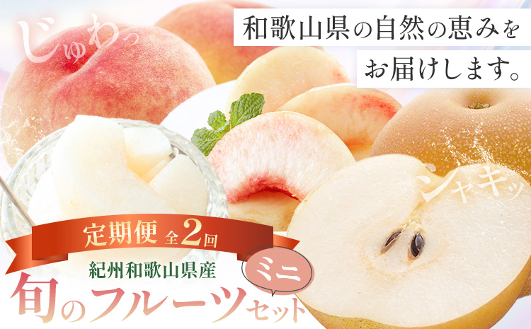 紀州 和歌山県産 旬の フルーツ セット ミニ 2ヶ月定期便 8月・9月配送 桃 3玉 梨 3玉 株式会社魚鶴商店《8月-9月頃出荷》和歌山県 日高川町 もも なし 定期便 果物 旬---wshg_u