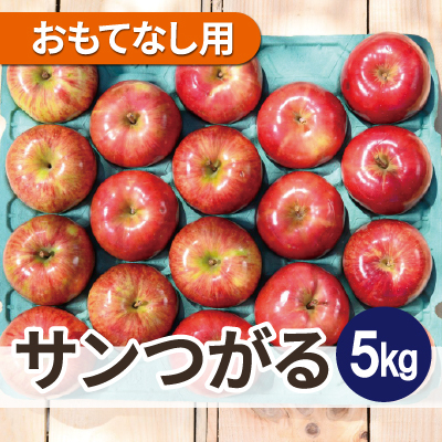 
                  ＜2025年9月発送予定＞平均糖度12度以上!葉とらずサンつがる 約5kg おもてなし用 クール便【1607021】
                