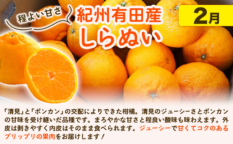 【発送月固定定期便】紀州 和歌山産 旬の ご家庭用 柑橘 セット (みかん 不知火 清見)【全３回】約16kg 株式会社魚鶴《2026年1月上旬-4月上旬頃出荷予定(土日祝除く)》 和歌山県 日高町 
