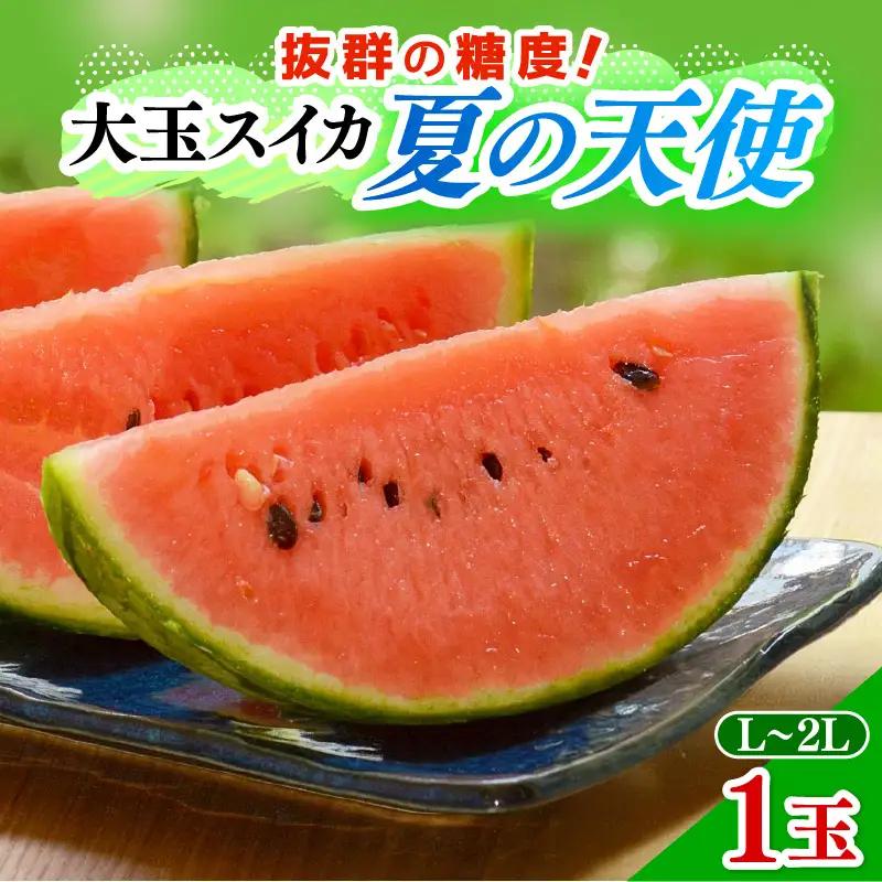【先行予約】大玉スイカ「夏の天使」 1玉入 （L～2L）抜群の糖度で甘い！／ 期間限定 果物 フルーツ 西瓜 産地直送 ※2026年7月中旬より順次発送 [aw003-a002]
