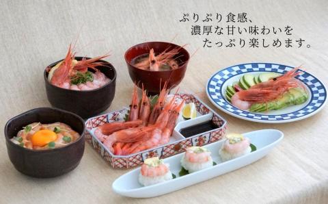 【先行予約】【白いか 甘えび お刺身用セット 白いか（剣先いか）5～8杯（約1kg）甘えび約800g(30～40尾)　冷凍 兵庫県香住産】6月以降順次発送予定 日本海で水揚げされた鮮度抜群の白いかと甘