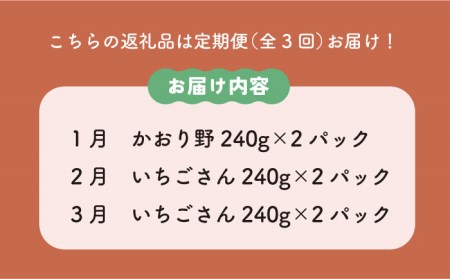 【先行予約】【3回定期便】赤いちご食べ比べ！かおり野＆いちごさん 定期便 /赤いちご いちご食べ比べ さっぱりとした甘さのいちご お試しパックいちご イチゴ 苺 佐賀県産いちご ブランドいちご かおり