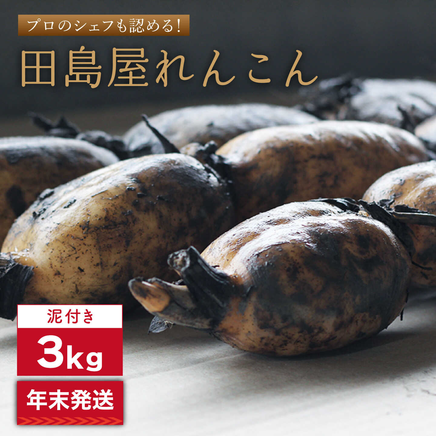 【ふるさと納税】【先行予約 2026年末発送/年内発送】れんこん（泥付き） 3kg【田島屋れんこん】 蓮根 レンコン 根菜 野菜 白石町産 年内発送 お正月 佐賀県 白石 [IAV003]