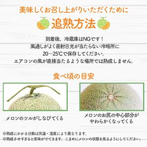 【2026年7月上旬～発送】※訳あり※ 富良野 メロン 2Lサイズ 約1.6kg【1玉】北海道 富良野市(スイートベジタブルファクトリー) 訳あり メロン フルーツ 果物 新鮮 甘い 道産 ジューシー