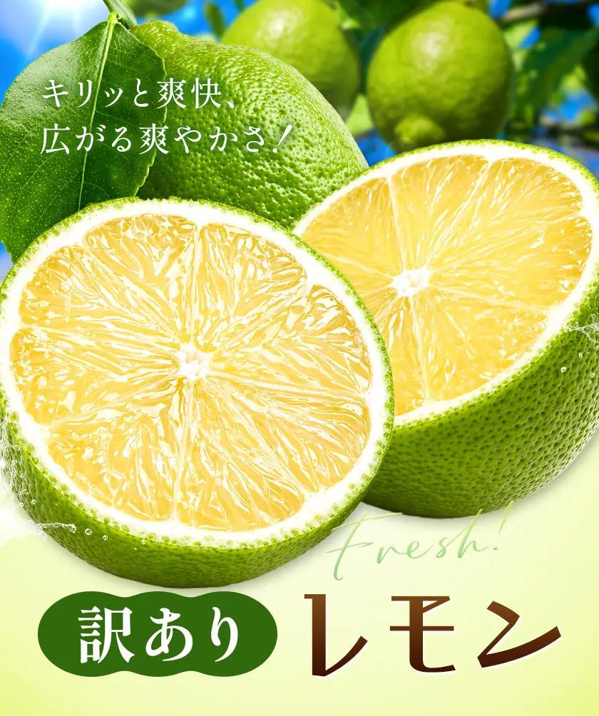 レモン 訳あり 緑色 7kg 株式会社農業福祉研究機構