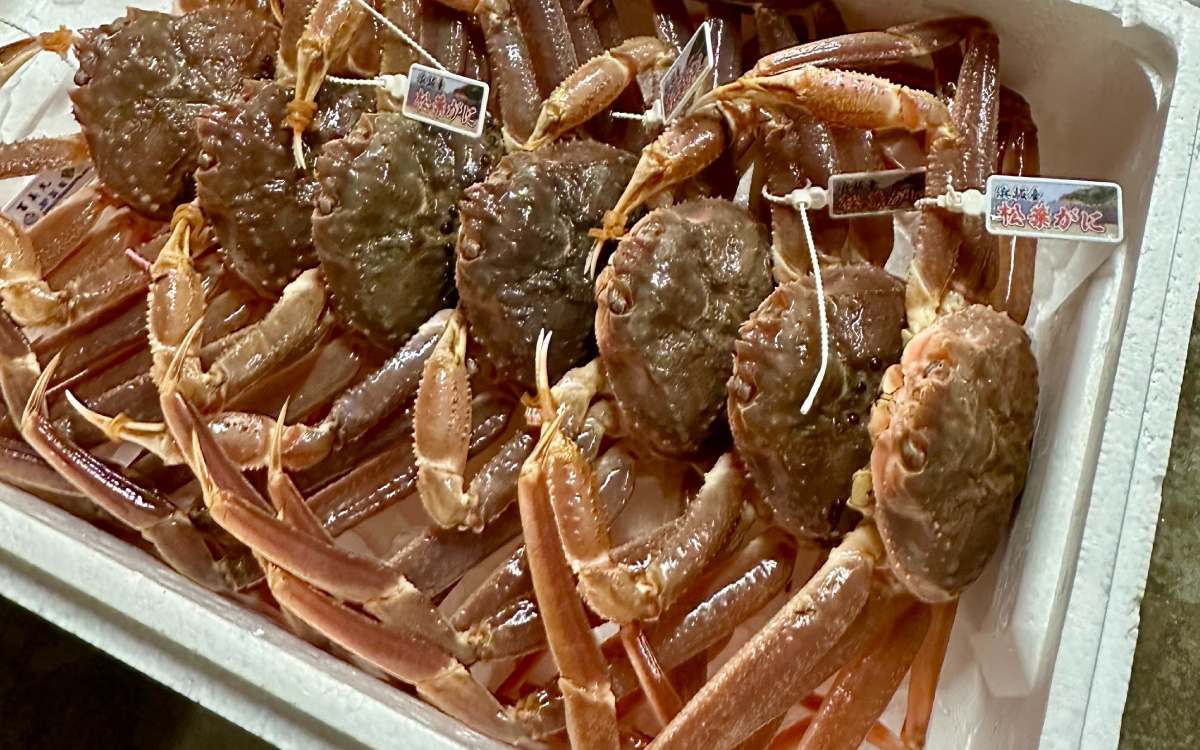 松葉がに 400～500g (ボイル)／蟹 ズワイガニ 浜坂漁港 タグ付き 無添加 日本海 魚介類 新鮮 塩茹で 上品な甘み 海鮮 海の幸 かに 国産 冷凍
