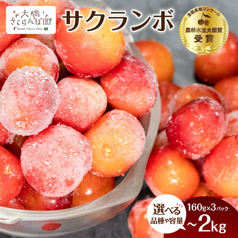 【ふるさと納税】【選べる】冷凍フルーツ ＆ スイーツ さくらんぼ タルト パイ 160g 500g 2kg 訳あり 大容量 国産 北海道 芦別市