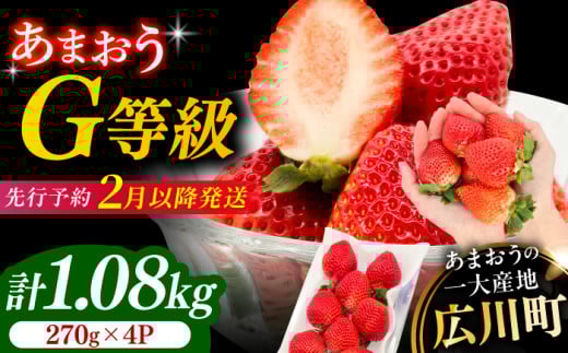 【★先行予約★　2026年2月より発送】あまおうG等級 2ケース（270g×4パック）いちご イチゴ 苺 フルーツ 果物 旬 福岡県産 小分け あまおう 博多 大きい 甘い 広川町 / JAふくおか八女農産物直売所どろや [AFAB070]