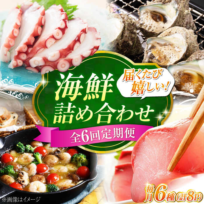【ふるさと納税】【全6回定期便】海鮮 6種 詰め合わせ「梅」 海鮮 詰め合わせ セット 盛り合わせ 魚介類 冷凍 水産加工品 海藻 鮮魚 さかな 魚 刺身 小分け 料理 和食 時短 便利 ギフト 定期便 お取り寄せ グルメ 広島県産 人気 送料無料 江田島市/七宝丸[XBY015]