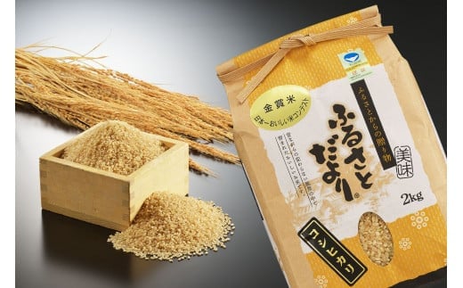 【令和7年産】新潟産『コシヒカリ』日本一おいしい米コンテスト金賞受賞 早川農興 玄米10kg FC028036