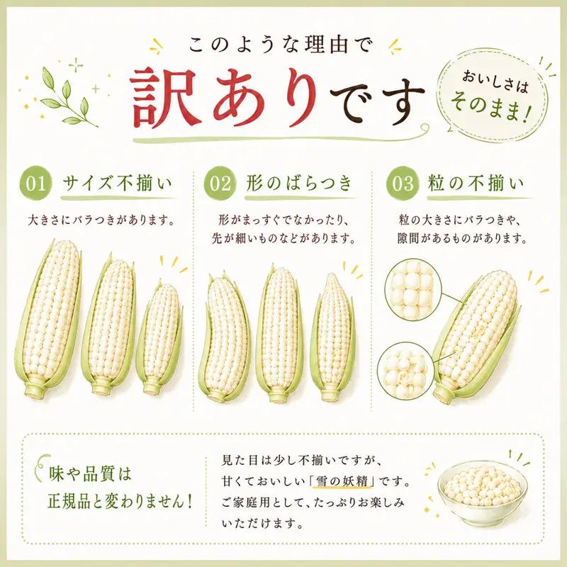 訳あり 白いとうもろこし 約3kg 【とうもろこし】