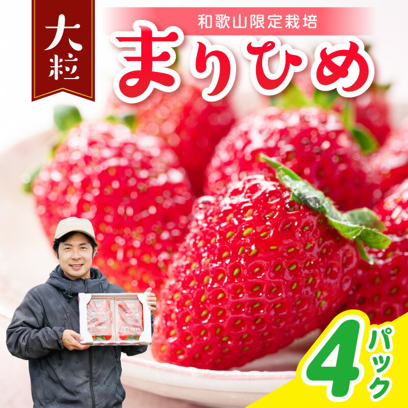 【ふるさと納税】まりひめ4パック【配送不可地域：北海道・青森・秋田・岩手・沖縄・離島】