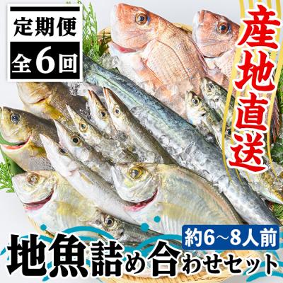 ふるさと納税 肝付町 【6回定期便】魚屋さんの選んだ新鮮お魚詰め合わせ(約6~8人分)　E09001