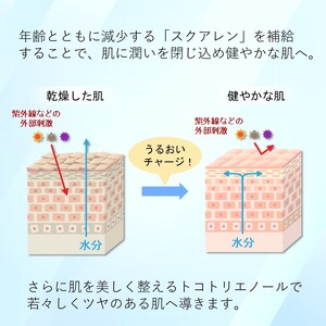 sVEAS スクアレンオイル（美容オイル×1本） 美容 オイル 高保湿 うるおい スキンケア ギフト 千葉 銚子 千葉県銚子市