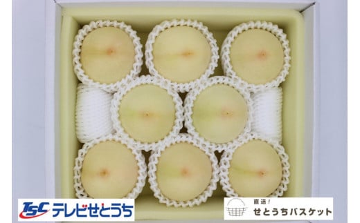 岡山白桃・晩生（ご家庭用）約２kg（６～９玉入り）【2026年発送】