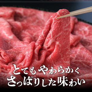 前沢牛 赤身皿盛りすきやき・しゃぶしゃぶ用（500g） 柔らかいなのにさっぱりした赤身！【冷蔵発送】ブランド牛 離島配送不可 [U0127]