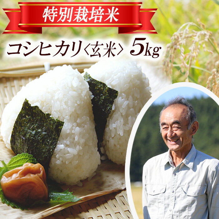 【ふるさと納税】コシヒカリ 玄米 5kg×1袋 令和7年産米 特別栽培米 山形県遊佐産 鳥海山の恵 東北 遊佐町 庄内地方 庄内平野 米 お米 庄内米 ごはん ご飯