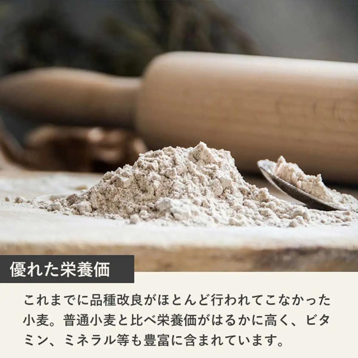 【毎月定期便】北海道産 小麦粉 スペルト小麦全粒粉 ディンケルスター 7.5kg 全4回 MROBI022