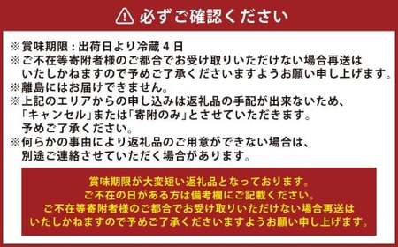 ぶどう 2026年 先行予約 ニュー ピオーネ 1房 600g以上 【2026年8月下旬～9月下旬 発送予定】 ブドウ 葡萄 岡山県産 国産 フルーツ 果物 ギフト 環山堂 くだもの お取り寄せ 贈り