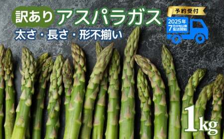 訳あり アスパラガス 1kg 令和7年産 アスパラ アスパラ アスパラ アスパラ アスパラ アスパラ アスパラ JA002