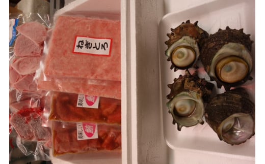【海の幸を簡単に食べよう！】まぐろ＆さざえお手軽セット　M030-001