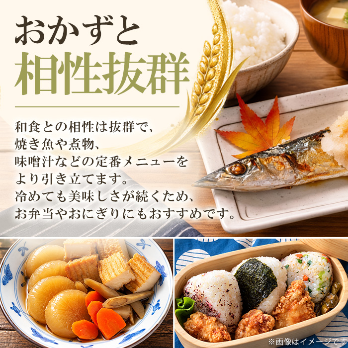 No.1378-B 鹿児島県産のお米 ヒノヒカリ(5kg) 国産 九州産 ひのひかり 米 訳アリ 訳あり 白米 ご飯 ごはん 令和8年産【末永商店】