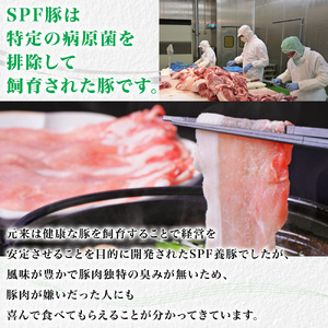 東庄町産SPF豚肉/焼肉&しゃぶしゃぶセット 計2kg