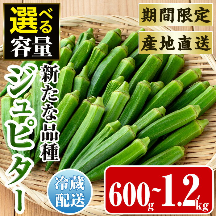 【ふるさと納税】≪容量が選べる！先行予約受付中！2026年7月下旬～10月下旬の間に発送予定≫いずみ産 オクラ 新たな品種・ジュピター(600g or 1.2kg) オクラ おくら 野菜 夏野菜 サラダ おひたし 天ぷら 炒め物 新品種 【イーサイドライン】