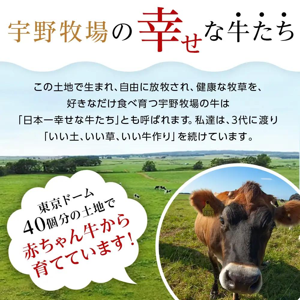 【定期便5カ月ウーノアイス 20個セット