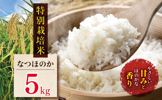 特別栽培米 なつほのか 5kg | お米 米 精米 白米 おこめ こめ ご飯 ごはん 国産米 5キロ 大分県産 九州産 大分県 中津市