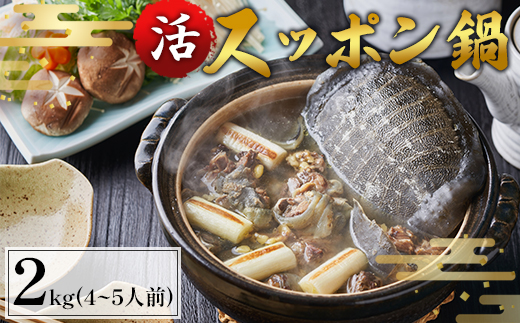 綾部で育てた！！スッポン鍋 約2kg 4〜5人前 活スッポン 健康 スッポン スッポン鍋 スッポン鍋セット 珍しい 京都 綾部