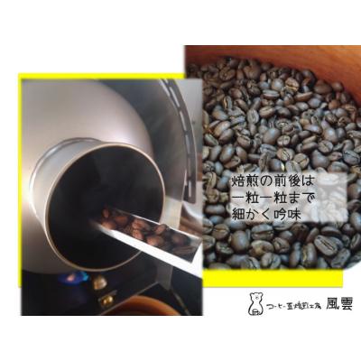 ふるさと納税 伊那市 スペシャリティコーヒー　パナマ　ゲイシャ　ラ・エスメラルダ農園　豆　200g×2袋 |  | 03