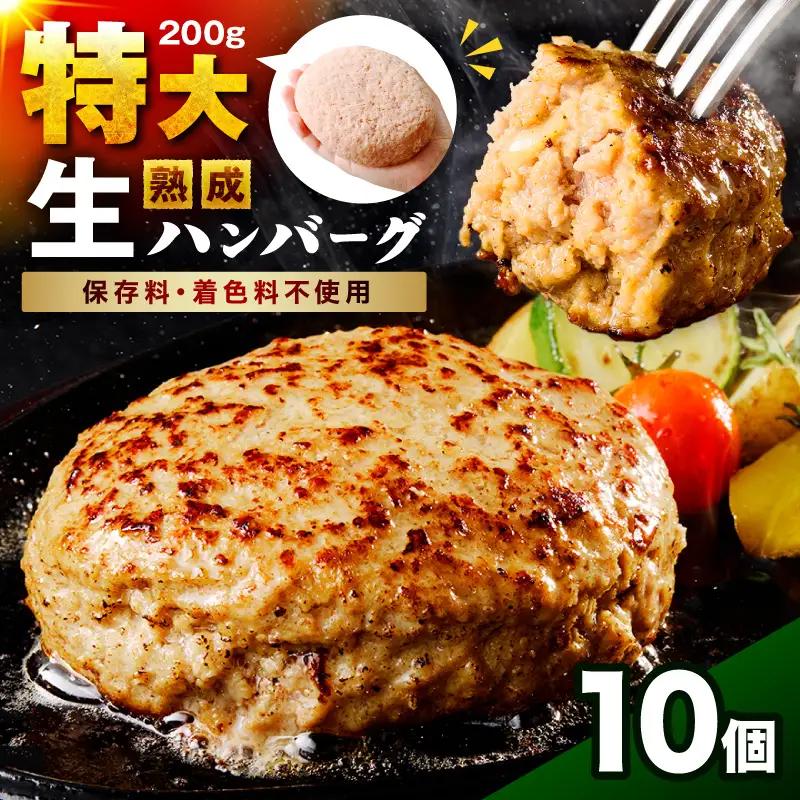【無添加・粗挽き】食べ応え抜群！生ハンバーグ 200g 10個【087D-171】
