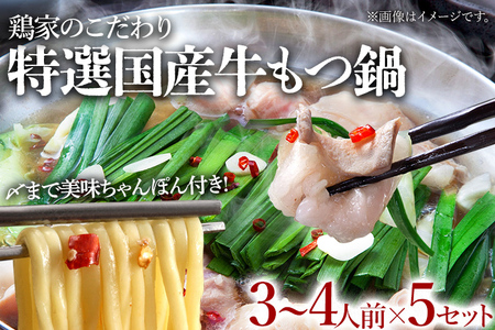 特選「鶏家」のもつ鍋セット 【3～4人前×5セット】 合計15～20人前 モツ鍋 牛ホルモン もつなべ ホルモン鍋 牛モツ モツ もつ鍋 博多もつ鍋 牛もつ鍋 鍋セット ギフト 贈り物 冷凍 送料無料