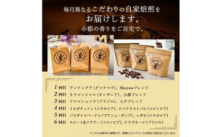 Morrow珈琲 12ヵ月定期便&コーヒーミル・スマートG【増量】レギュラーコーヒー 珈琲 コーヒー 珈琲粉 コーヒー豆 珈琲豆 ドリップコーヒー ドリップ 自家焙煎珈琲 自家焙煎コーヒー 12回 お