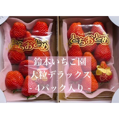 
＜12月下旬より発送＞鈴木いちご園の★厳選★完熟★朝摘み★とちおとめデラックス　4パック入り【1259140】
